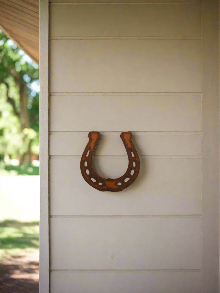 Horseshoe Magnet