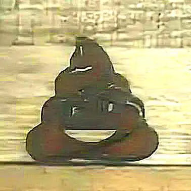 POOP EMOJI Magnet