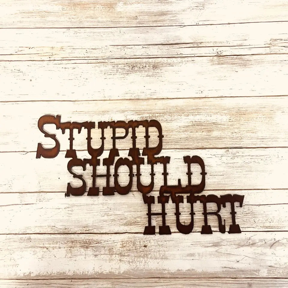 Stupid Should Hurt Rustic Metal Home Decor Sign