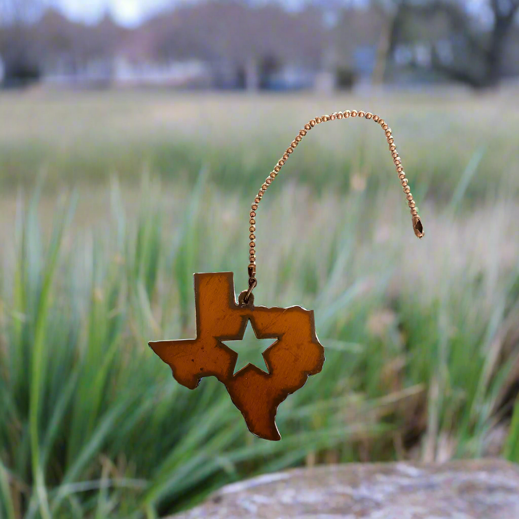 Texas State with Star Americana Ceiling Fan Pull