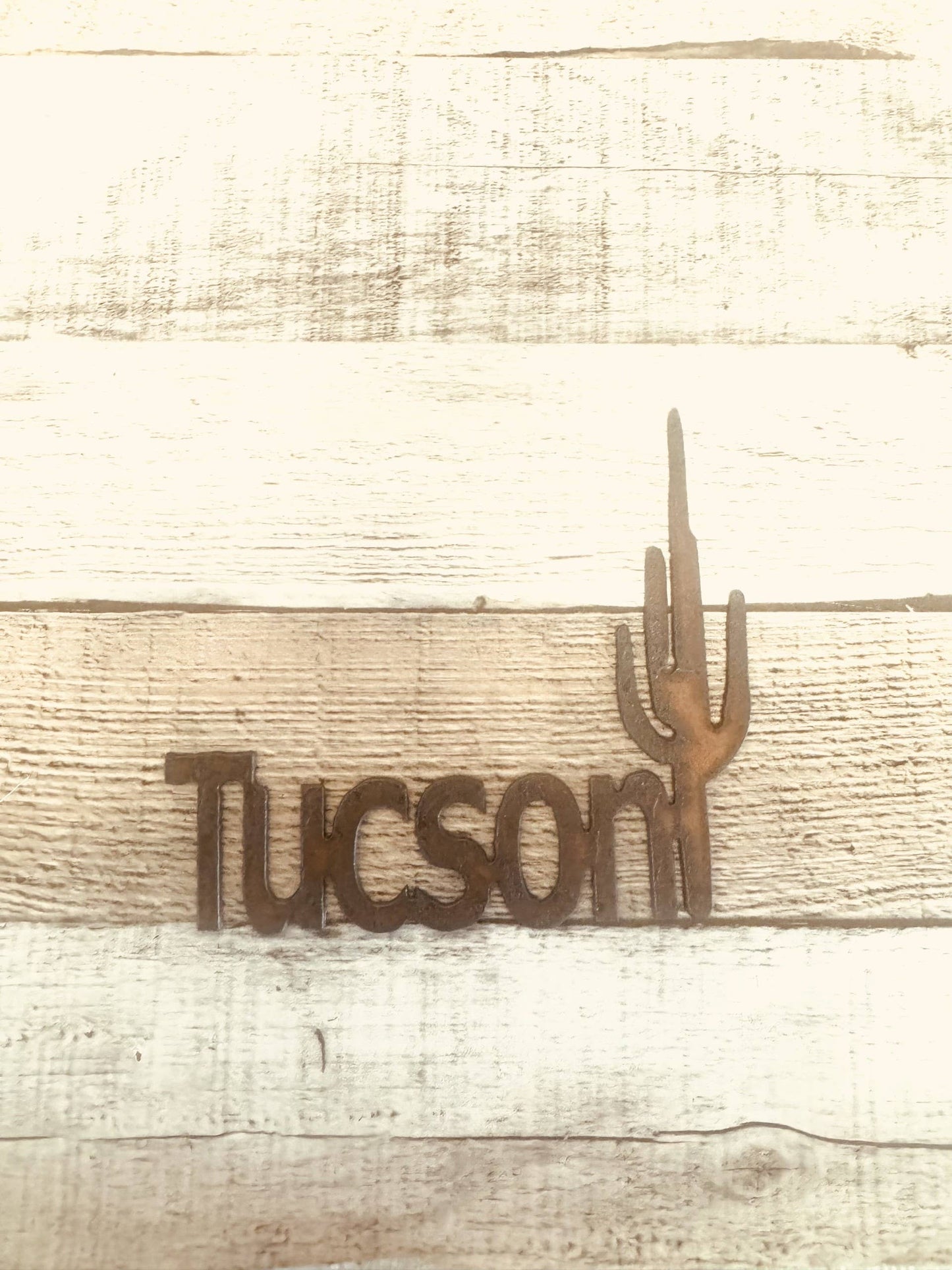 Tucson City Arizona w Cactus Magnet Rustic Desert Magnet