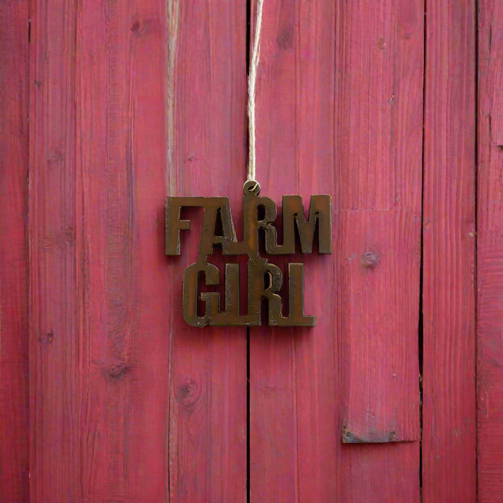 Farm Girl Rustic Metal Ornament Farmhouse Gift