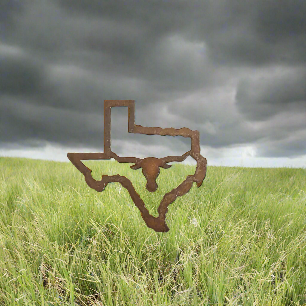 Texas Outline with Longhorn State Rustic Metal Magnet