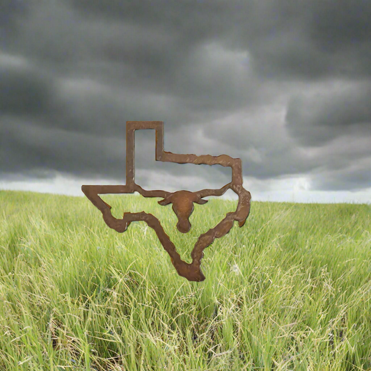 Texas Outline with Longhorn State Rustic Metal Magnet