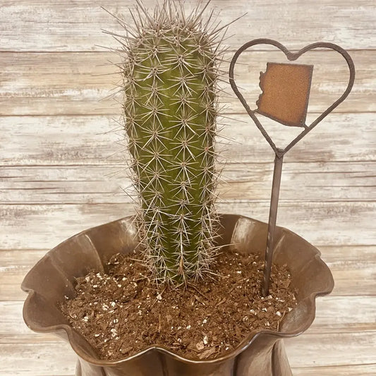 Heart Outline with Arizona State Shape Garden Plant Stake