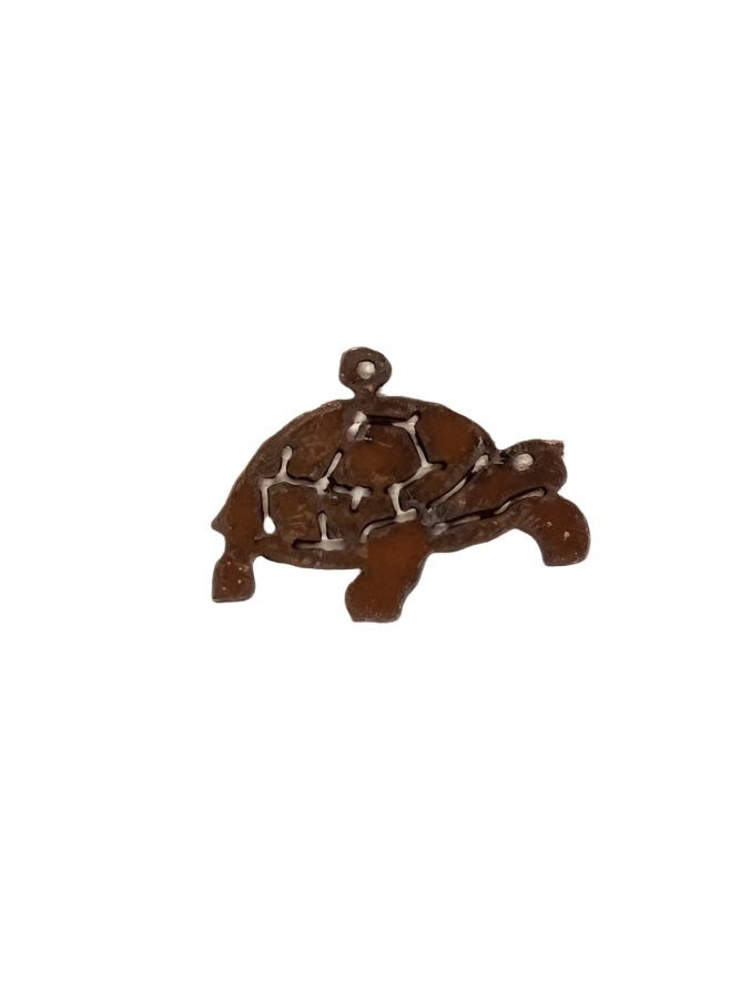 Tortoise charm