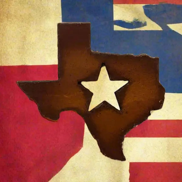 Texas State With Star Magnet
