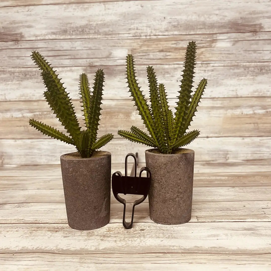 Saguaro Cactus Branding Iron DIY Steak Brand Craft Gift