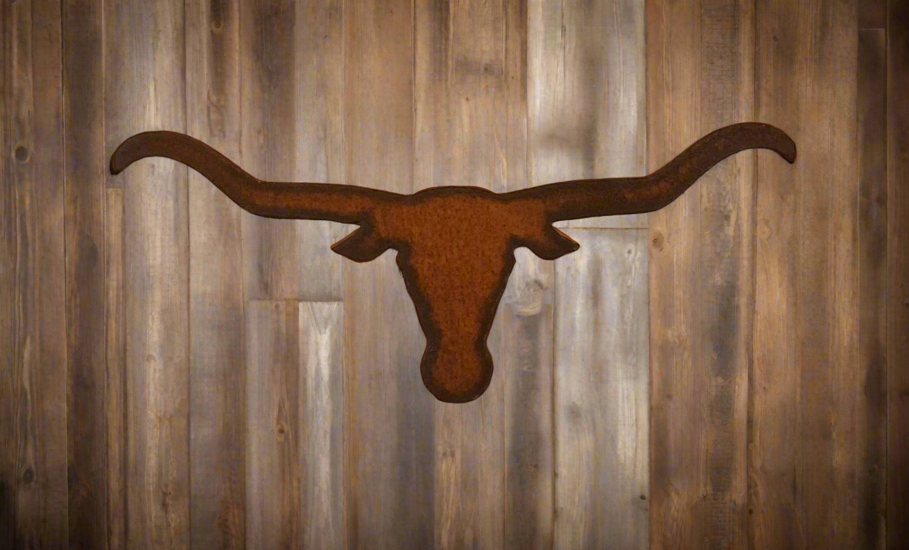 Steer Head Longhorn Magnet