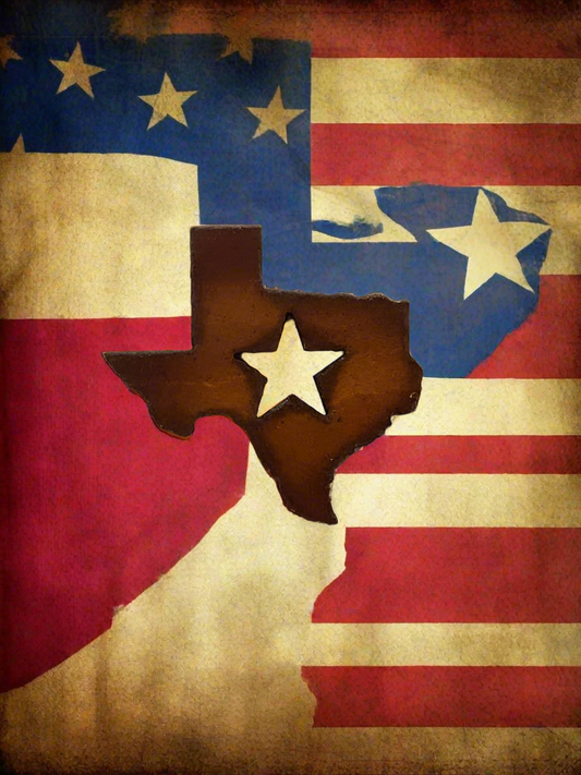 Texas State With Star Magnet