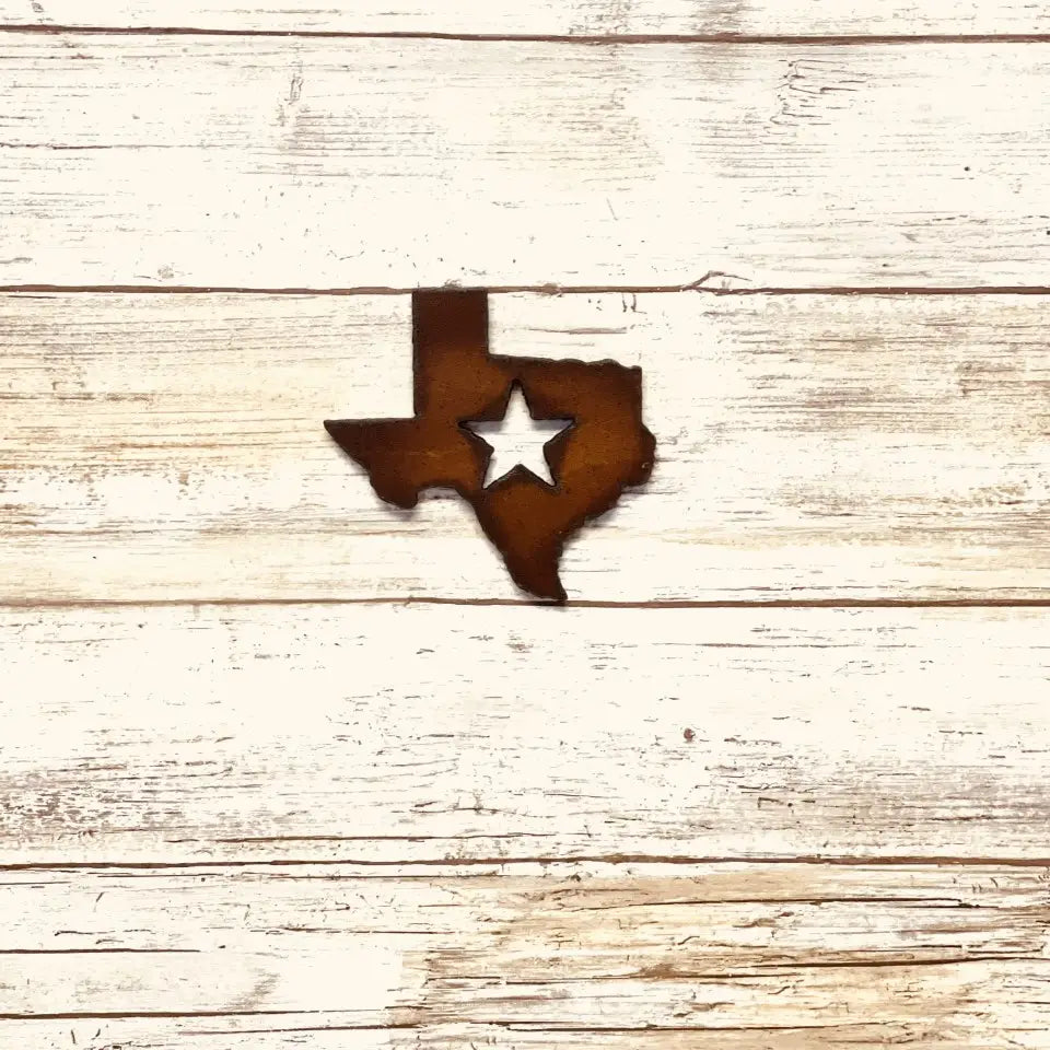 Texas State With Star Magnet
