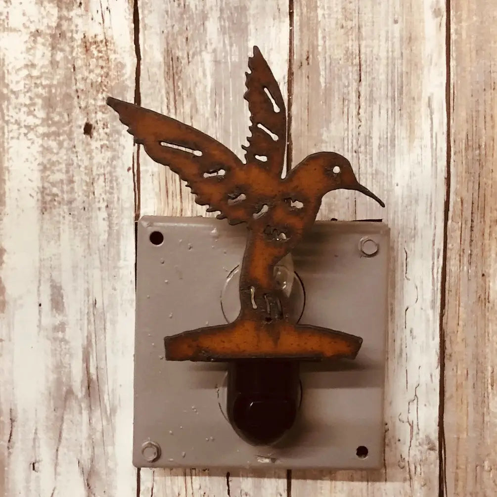 Hummingbird Image Garden Path Birding Nightlight