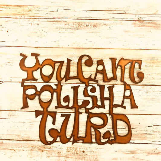 You Cant Polish a Turd Funny Wall Sign