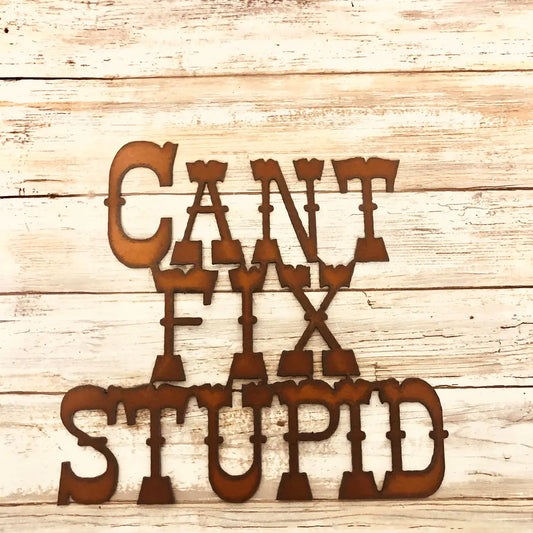 Can't Fix Stupid Rustic Metal Sign