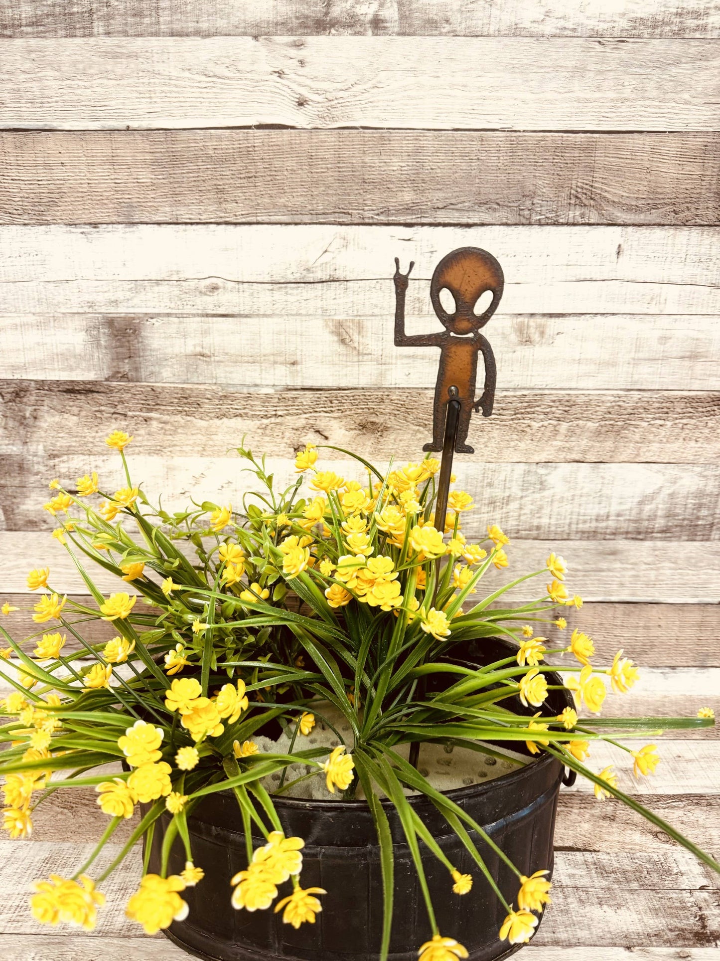 Alien Peace Rustic Area 51 New Mexico Garden Plant Stick
