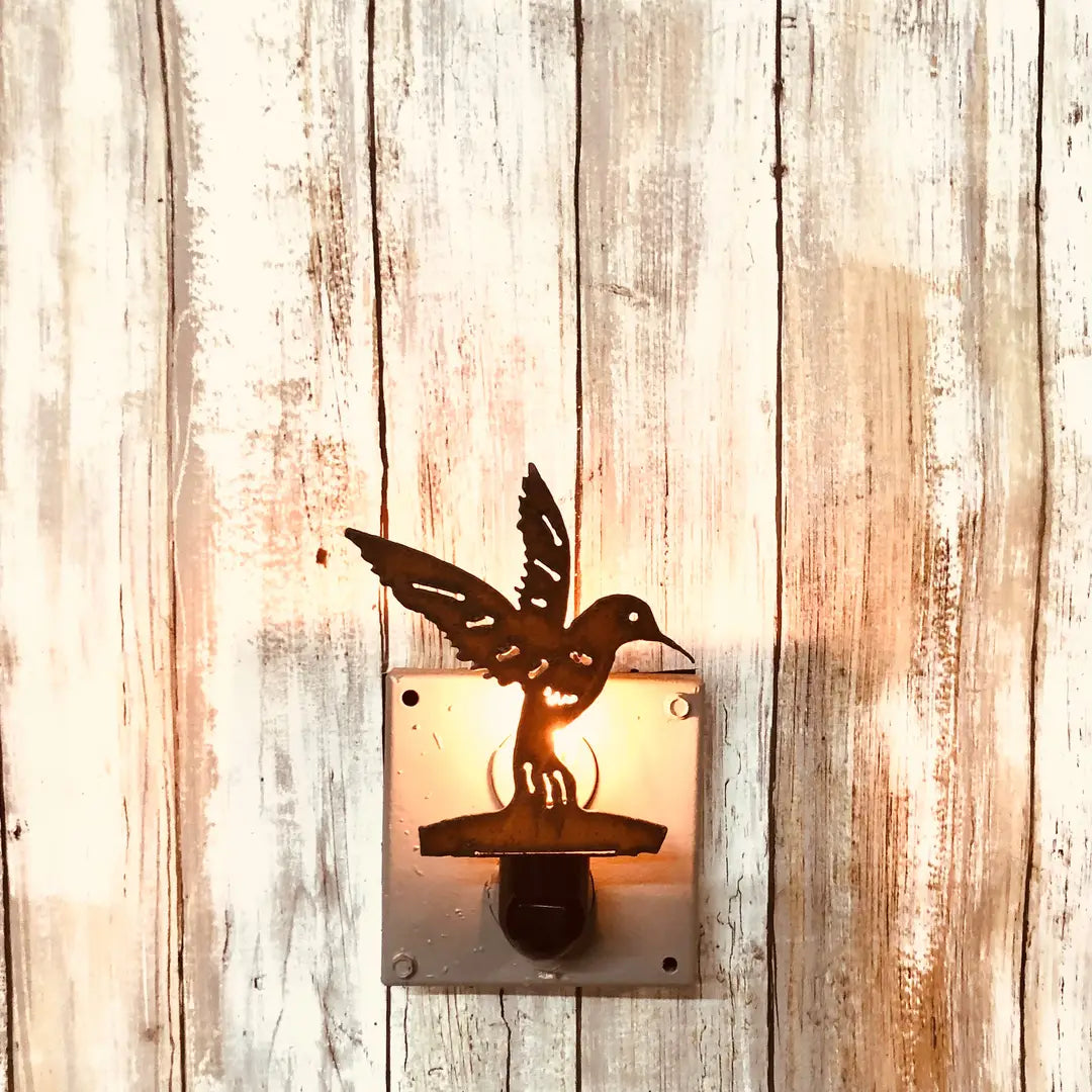 Hummingbird Image Garden Path Birding Nightlight