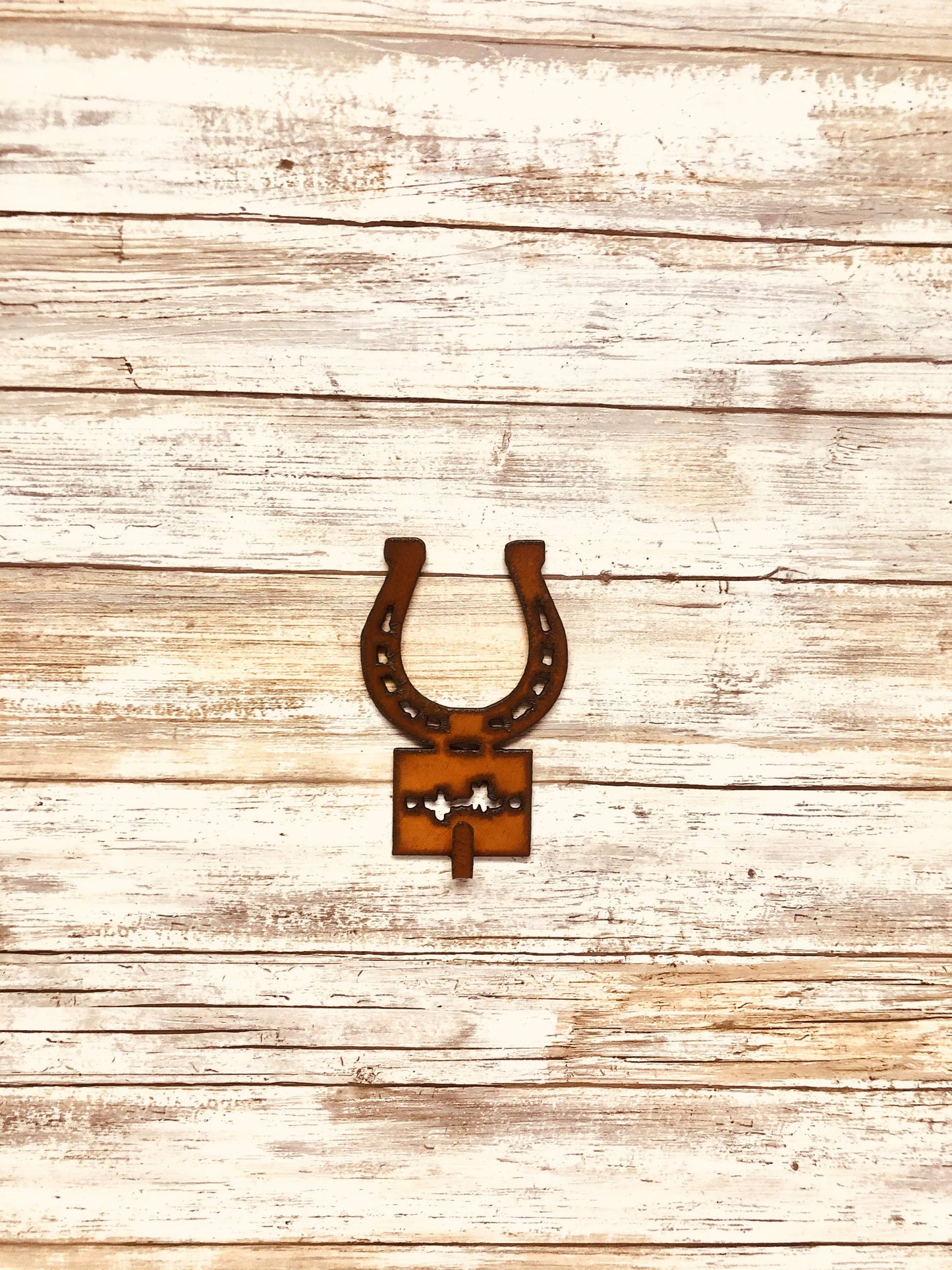 Horseshoe Western Rodeo Rustic Single Key Hook