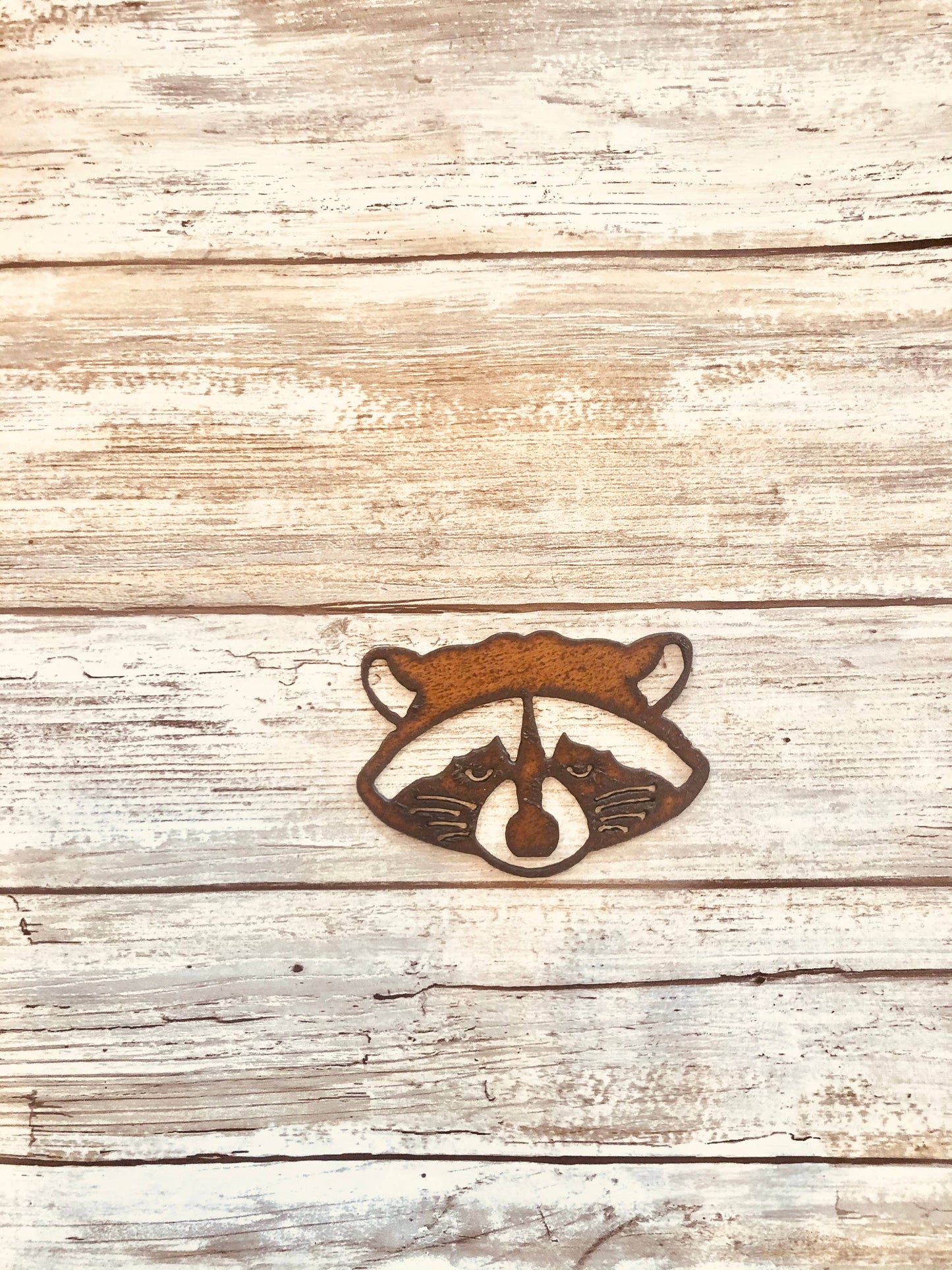Raccoon Face Lodge Magnet
