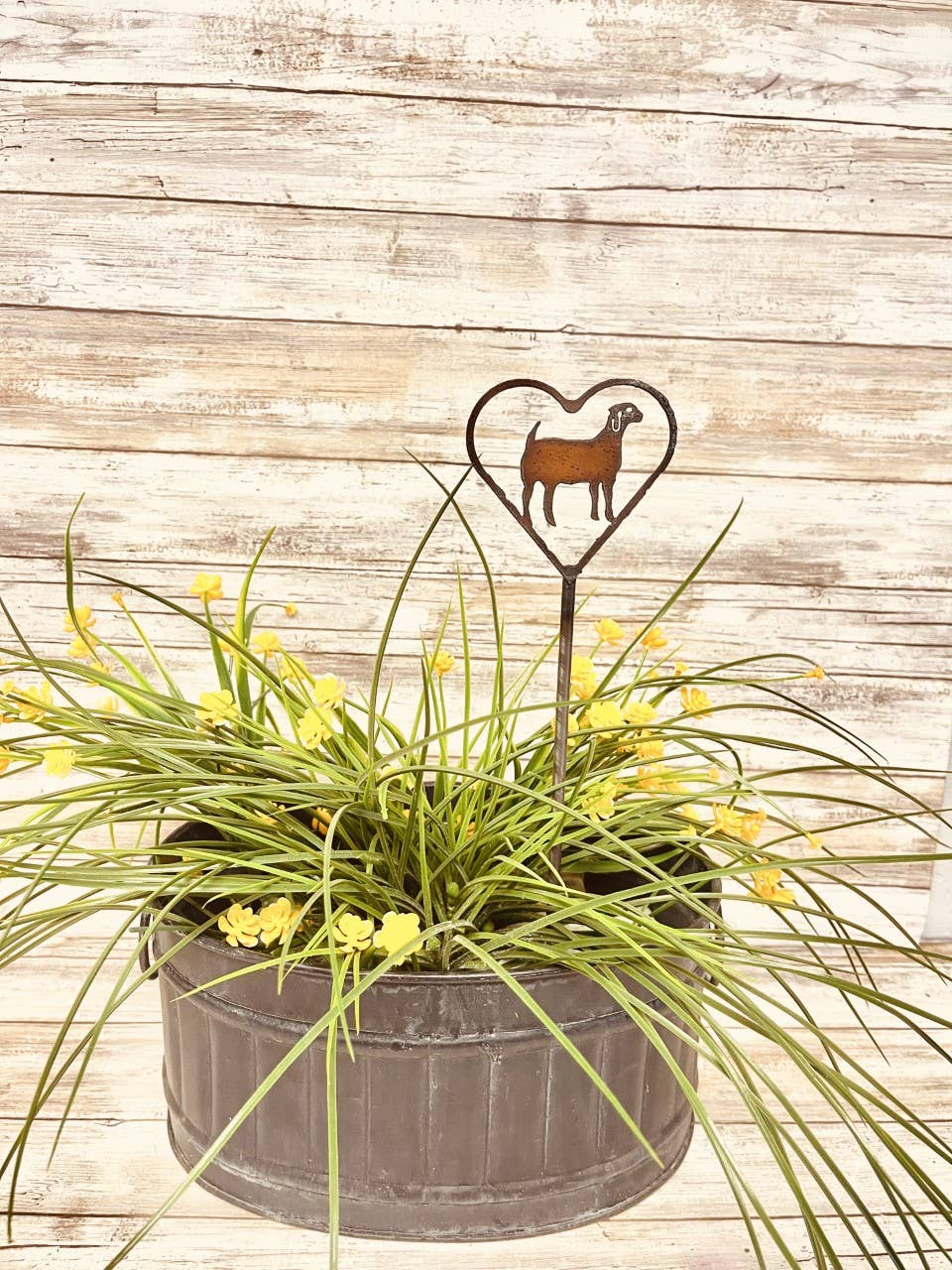 Heart Outline with Goat Plant Stake 4H gift Garden