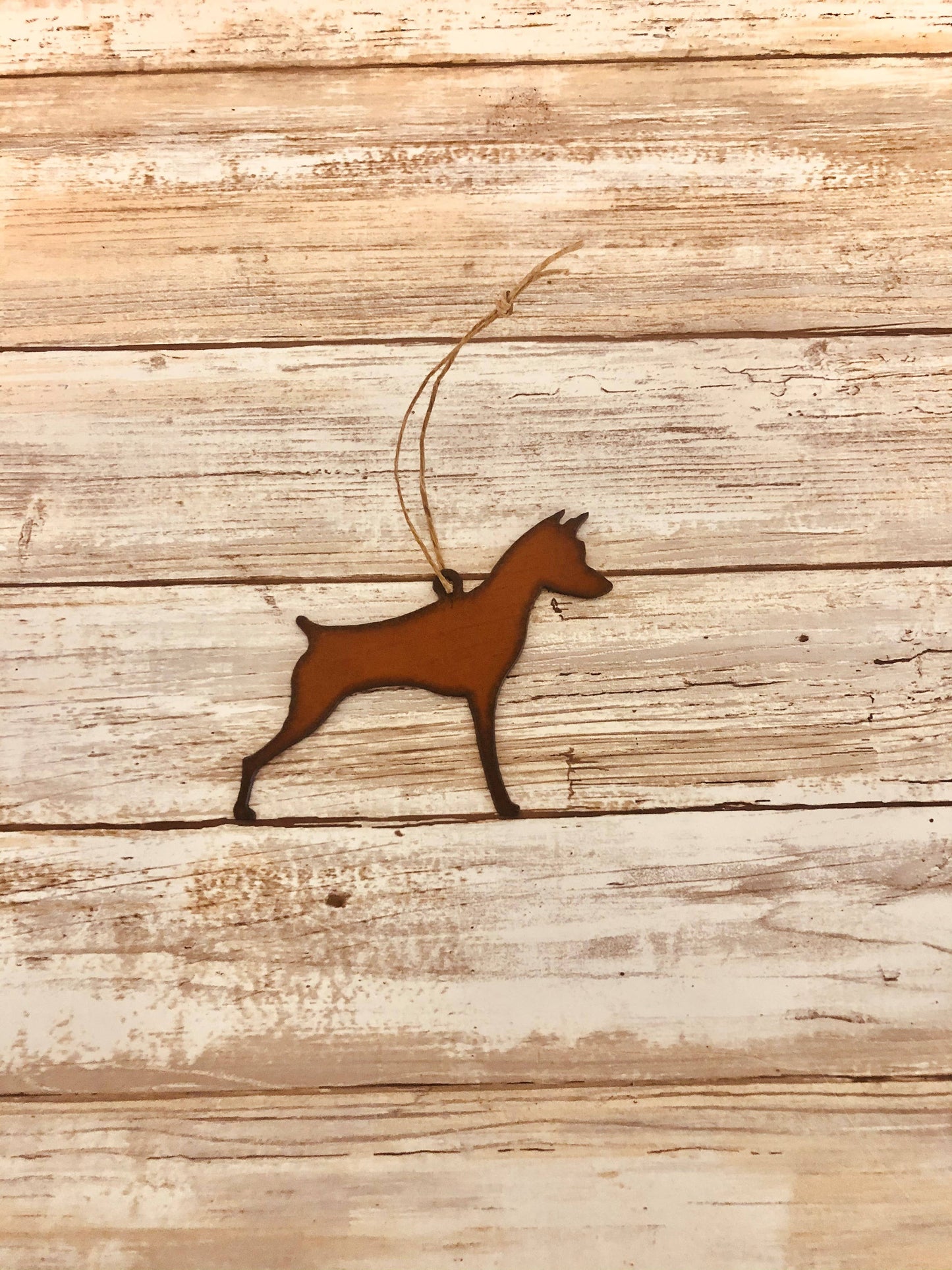 Miniature Pinscher Dog  Ornament