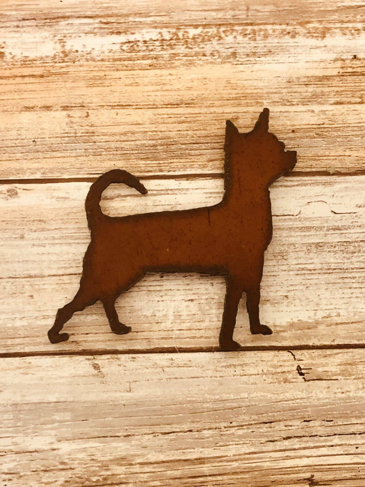 Chihuahua Dog Breed Magnet