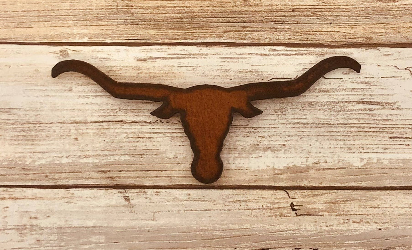 Steer Head Longhorn Magnet