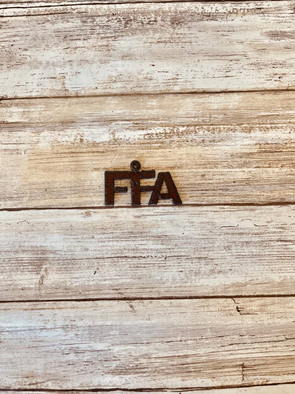 FFA Western Farmhouse Rustic Charm Pendant DIY